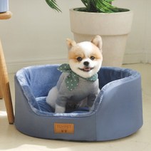 아페토 강아지 모노베드 원형, 인디블루