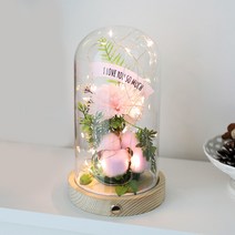 조아트 LED 플라워 유리돔 비누꽃 프리저브드, 비누카네이션핑크