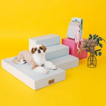 디팡 펫플레이스텝 강아지 고양이계단, 블루 그레이