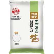 대한농산 보약같은 철원오대쌀, 5kg, 1개