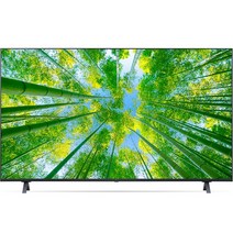 LG전자 4K UHD LED TV, 방문설치, 벽걸이형, 163cm(65인치), 65UQ8300NNF