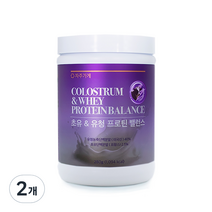 자주가게 초유 유청 저분자 가수분해 단백질 밸런스, 280g, 2개