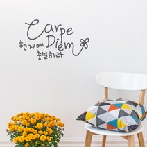 원에이엠 캘리그라피 포인트스티커 Carpe Diem, 연회