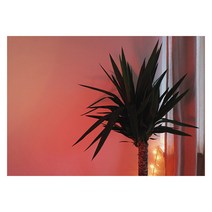 아티굿띵 북유럽 스타일 인테리어액자, art no. 0203