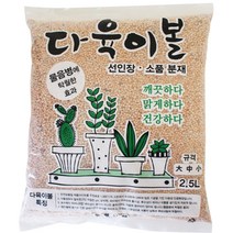 모리앤 다육이볼 2.5L, 1개