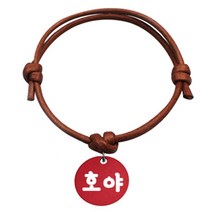 펫츠룩 굿모닝 카라멜 반려동물 목걸이 S 알미늄원형 팬던트 S, 레드(호야), 1개