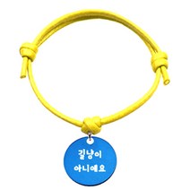 펫츠룩 반려동물 굿모닝 옐로 목걸이S 알미늄원형M, 블루(길냥이아니에요), 1개