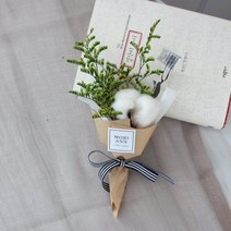모리앤 설렘 목화 미니꽃다발, 미스티그린