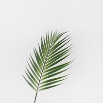 블루밍앤미 아레카야자 조화, 그린, 1개