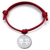 펫츠룩 굿모닝 레드 반려견 목걸이 M + 메탈원형 팬던트 S, 실버(뿌꾸), 1개