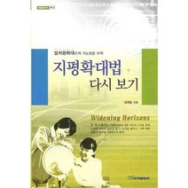 지평확대법 다시 보기:탈지평확대로의 가능성을 모색, 한국학술정보, 김재일 저