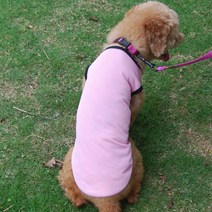 핑크망고 매쉬 나시 반려동물 옷, C