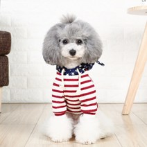 에이프릴 반려동물 봄 가을 스타 스트라이프 후드, 레드