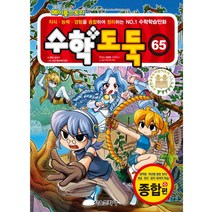 코믹 메이플스토리 수학도둑 65: 종합편:지식 능력 경험을 융합하여 정리하는 No.1 수학학습만화, 서울문화사