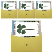 럭키심볼 행운의 네잎클로버 생화 코팅카드 목표대학, 연세대, 4개입