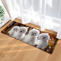 슈퍼식스 동물 시리즈 물 흡수 바닥 매트, 5