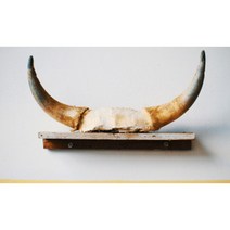 유브이디에스 아트보드 주방시트지 동물의 뿔, 1개