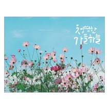 렉스데코 키친아트갤러리 주방아트보드 코스모스, 1개