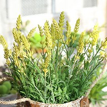 리버그린 러블리 라벤더 부쉬 3p, 옐로우