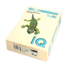 몬디 IQ COLOR 색상지 BE66 바닐라색 80g, A4, 500매