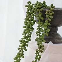 아티파티 인테리어 조화 행잉플랜트 그리너리 72cm, 콩난바인