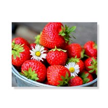 리틀하이커 Fruit 캔버스액자 A3W37 09, 우드
