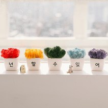아스파시아 무지개 응원 모스 미니화분 5p 넌할수있어, 1세트