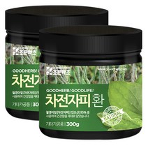 굿허브 프리미엄 차전자피환, 300g, 2개입
