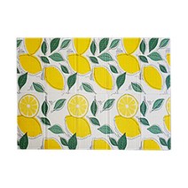 알뜨리 접이식 캠핑 매트, 팬시레몬(옐로우)