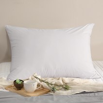 린튼 호텔식 알러지케어 베개커버 + BASIC 경추베개솜, 퓨어화이트