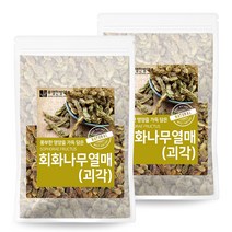 부영한방약초 회화나무열매 괴각, 300g, 2개