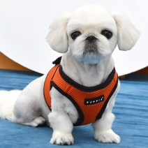 퍼피아 강아지고양이 소프트베스트 하네스 2, 오렌지