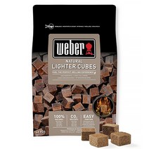 웨버 라이터 큐브 48p, 600g, 1개