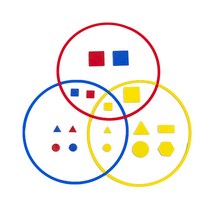 이디엑스에듀케이션 속성 블록 + 분류 서클 클래스룸 세트, 1세트