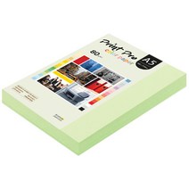 종이문화 프린트 프로 칼라 복사용지 No 13 에메랄드 80g, A5, 250개