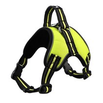 케어펫 강아지 야광 하네스 XXL + 리드줄, 1세트, 형광(일반타입)