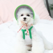 오드스튜디오 또또또친구들 강아지 선캡, 그린