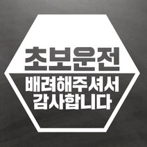 초보운전스티커 반다각 초보운전 Large, 1개