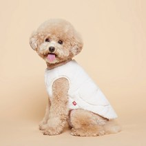 강아지솜사탕후리스 가성비 좋은 제품 중 알뜰하게 구매할 수 있는 판매량 1위 상품