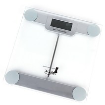 모닝업 투명 디지털 체중계, DY-926S, 그레이