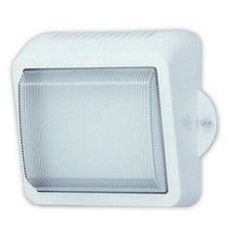주차장 진입 30W LED방수 벽등 주광색, 화이트