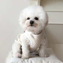 바이담수미 강아지 베이직 누빔조끼, 아이보리