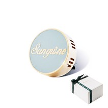 생귄 클립 차량용 방향제 모링가 본품 민트그레이 + 쇼핑백 세트, 1세트