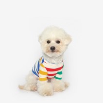 투스투스 컬러블럭 강아지 나그랑 티셔츠, 멀티
