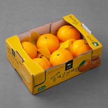 올레길 GAP 인증 당도선별 천혜향, 1.5kg(6~8입), 1박스