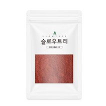 슬로우트리 오미자분말, 100g, 1개