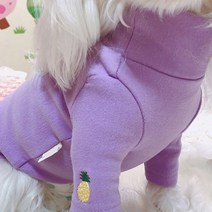 쁘띠도그 파인애플폴라티 DT042, 퍼플