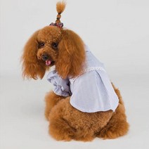 런웨이멍멍 반려동물 줄무늬 블라우스, 블루