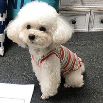 마켓A 반려동물 삼각스마일 스트라이프 나시 티셔츠, 레드
