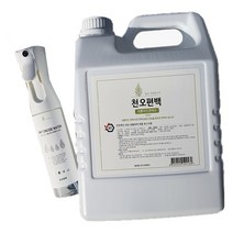 천오 편백수 실내 탈취제 5L 리필 + 안개분사 스프레이 300ml 세트, 1세트